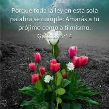Pin On Versiculos Biblicos