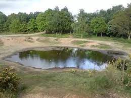 What about a lake versus a reservoir? What Is The Difference In Terms Related To Water Mass Bodies Like Oceans Tributaries Ponds Rivers Sea And Straits Quora