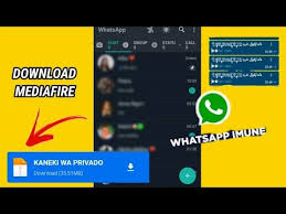 download whatsapp imune kaneki wat private via mediafire 2021 link na descricao youtube