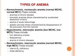 What Does Low Mch In Blood Mean Quora