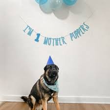 Buy Dog Birthday Banner ∙ Happy Birthday Mother Puppers ∙ Dog Birthday  Decoration ∙ Lets Pawty ∙ Its My Birthday Mother Puppers ∙ Puppy Birthday  Online in India