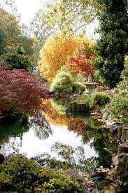 Reflecting Pond On Japanese Island Japanese Garden Beautiful Gardens Water Features In The Garden
