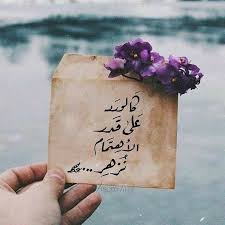 كالورد علي قدر الإهتمام نزهر Photo Quotes Digital Art Girl Arabic Quotes