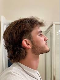 The Best 25 Modern Mullet Haircuts for Men (Detailed Gallery)