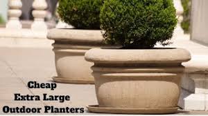 We did not find results for: Cheap Extra Large Outdoor Planters Decoreway Com Youtube