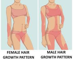Hair growth patterns include cowlicks, hairline heights, widow's peaks and male pattern baldness. Excess Hair Growth In Women Is A Symptom You Shouldn T Ignore Funzug Com