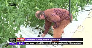 Grupul apartine consultantilor din cadrul fonduri europene pentru romania (companie. Fonduri Europene Pentru Agricultura