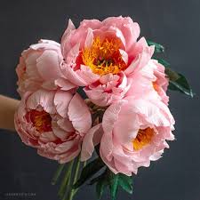 Member Make Live Tutorial Crepe Paper Coral Supreme Peony Lia Griffith Crepe Paper Flowers Diy Tissue Paper Flowers Paper Flowers