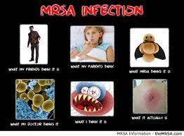 A new study from the center for disease control suggests that bed bugs might be spreading a number of bacteria strains. Mrsa Memes