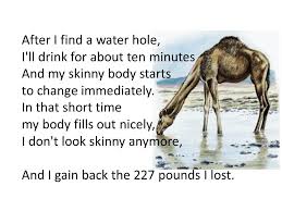 They eat small fish and can stay under water for five minutes. The Amazing Camel If You Ever Doubted That God Exists Meet The Very Technical Highly Engineered Dromedary Camel Ppt Download