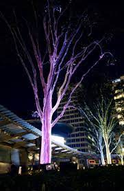 Visual Lighting Visual Lighting Landscape Lighting Outdoor Lighting