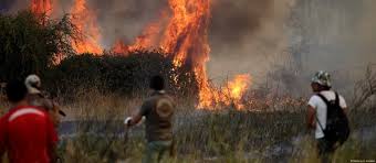 Image result for tbn:XVFRz-6Maj2JLM::www.jolmag.co.za/wildfire/images/Logos/vuvuzela_header.jpg