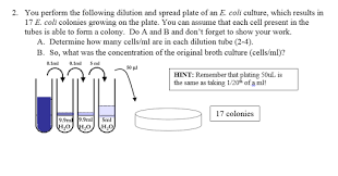 I wrote this worksheet for a ks3 chemistry lesson on particles. Mmg 302 Dilutions Worksheet Michael Manzella Teacher In Training