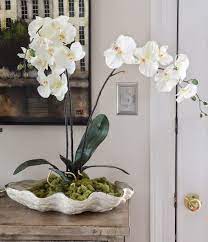 8 Indoor Plants For Positive Energy Indoor Orchids Diy Orchids Orchid Centerpieces