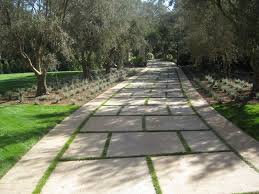 Olive Tree Lined Driveway With French Lavender Underneath The Trees Auffahrt Landschaftsbau Terrassen Deko Auffahrt Design