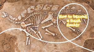 How To Become A Fossil Hunter - Picniq Blog