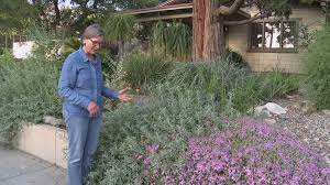 Tall and up to 5 ft. Check Metropolitan Water District Of Southern California