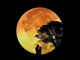 The full moon rises in a starry night sky over the sea and rocky cliffs. 20 Romantic Quotes On Moon For Your Girlfriend And Boyfriend