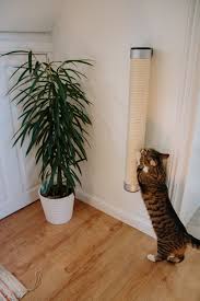 These pieces are sleek and unobtrusive, helping to maximize your space. Ad Stylish Wall Mounted Catipilla Cat Scratcher Review April Everyday