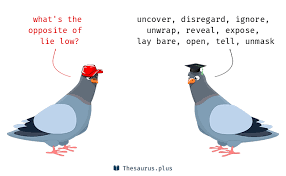 Check spelling or type a new query. Lie Low Liberal Dictionary