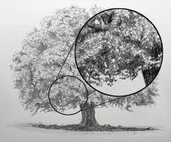In this video you can see me drawing some of the common tree types in charcoal. How To Draw Trees