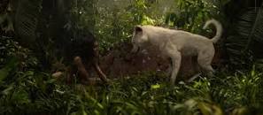 Image result for mowgli indian wolves