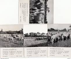 Check spelling or type a new query. Salon De Provence Salon De Provence 13 Domaine Du Merle En Crau Elevage Moutons Merinos 4 Photographies 1963