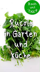 Rucola Der Salat Der Fast Das Ganze Jahr Lang Wachst Haus Und Beet Video Video In 2020 Rucola Rucola Anbauen Rucola Pflanzen