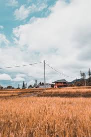 Fields Photo Background Images Best Photo Background Background Images We've rounded up the best zoom backgrounds that'll refresh your space for free.