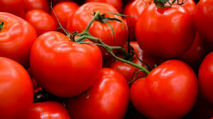 Dengan pemakaian yang rutin maka kulit. Cantikkan Kulit Dengan Tomato Tu Biasa Ni Ada Lagi Perlu Tahu Apa Nak Buat Dengan Tomato Keluarga