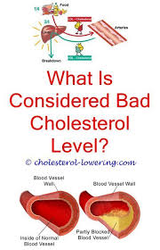 Cholesterol Hdl Cholesterol Lower Cholesterol Diet
