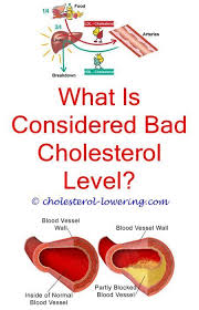 cholesterol hdl cholesterol lower cholesterol diet