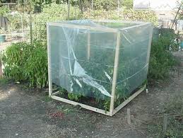 Retrieved on 19 october 2018. Almost Freezing Ways To Protect Plants Gardening In La