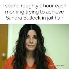 Pin On Funny Hair Memes