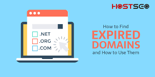 How To Buy Expired Or Expiring Domain Names • Best Seo Blog | Hostseo.com