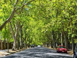 Check spelling or type a new query. Nettoyer Des Taches De Terre Sur Des Vetements En Coton Les Astucieux