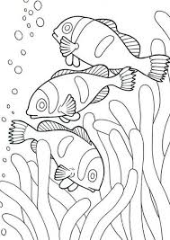 Children love to know how and why things wor. Free Easy To Print Fish Coloring Pages Fish Coloring Page Easy Coloring Pages Ocean Coloring Pages