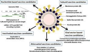 Strategies for designing vaccines for severe acute respiratory syndrome (sars) using. Vaccination Strategies To Combat Novel Corona Virus Sars Cov 2 Sciencedirect