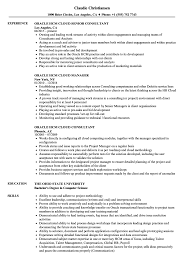 Oracle financial functional consultant jobs. Oracle Hcm Cloud Resume Samples Velvet Jobs