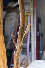 How To Treat Tree Branches For Indoor Use Cleaning Branches For Decor Tree Branch Decor Diy Diy Apartment Decor Natural Home Decor