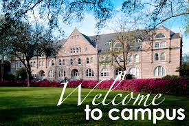 Image result for university