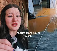 Lauren White Andrews Nc