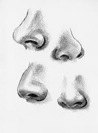Pin By Maymie Mitchell On Sketching In 2020 Nose Drawing Drawing Tutorial Drawings