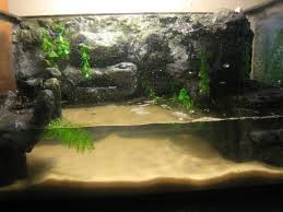 This Is My Diy Crab Tank 10 Gal Built Back Wall And Waterfall Internal Filter That Took Me Forever To Fit Perfectly B Fish Tank Animal Habitats Turtle Tank