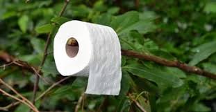 Take the test to find out if there is fungal irritation and if there isn't switch toilet papers. Best Toilet Paper For Sensitive Skin Allergies 2021 Reviews