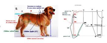 vykrojka kombinezona dlya sobaki varianty modelej i kroya foto i video mk sobaki odezhda dlya sobak odezhda dlya malenkih sobak