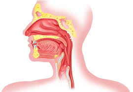 Having pain while swallowing (odynophagia) 2. Upper Esophageal Sphincter Function And Acid Reflux Pain