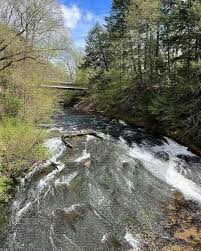 Image result for Dark Woodland Green 2002 Topkick