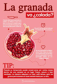 Pin En Datos Larousse Cocina