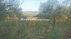 Παρατηρήσεις από το μεγαλύτερο δίκτυο μετεωρολογικών σταθμων. Oikopedo Wreoi Boreia Eyboia Akinhto P 470 Mesitiko Protasis Aidhpsos Eyboia